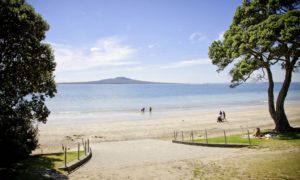takapuna sprint racing